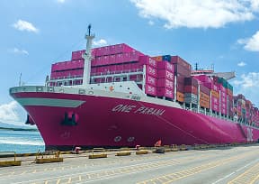 ONE Parana docking at the container shipping terminal